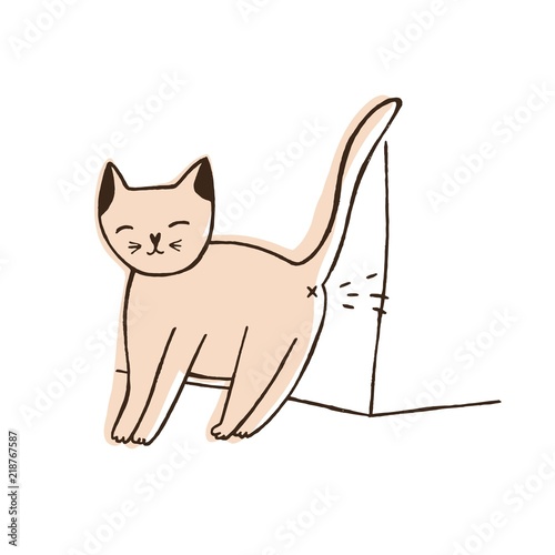 Fotografía Bad cat urinating on wall isolated on white background