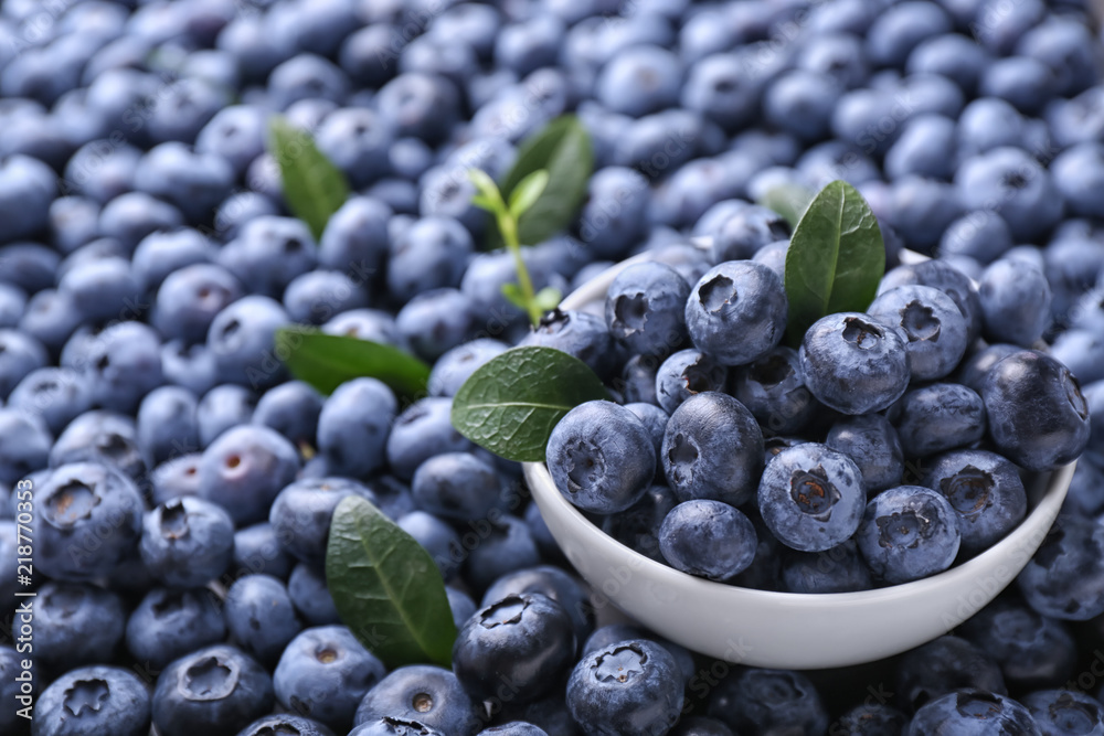 Bowl with fresh ripe blueberries