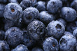 © Pixel-Shot - Fresh ripe blueberries with drops of water, closeup