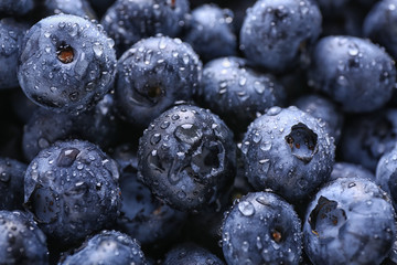 fresh ripe blueberries with drops of water, closeup