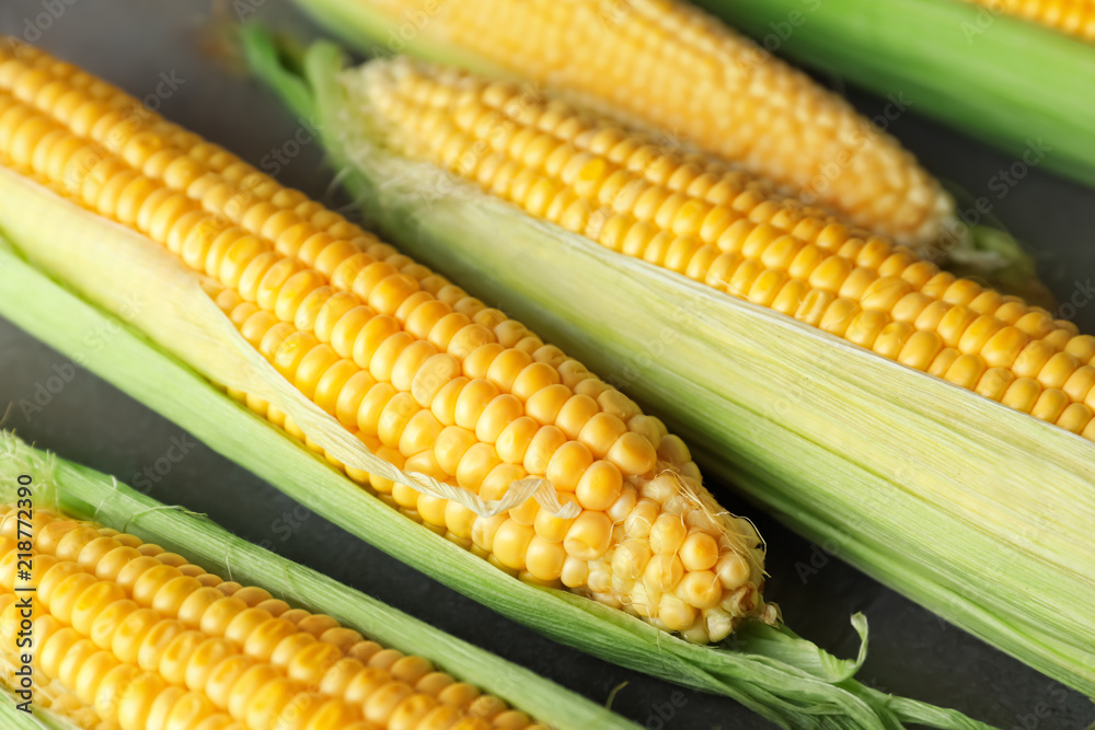 Ripe corn cobs on light background, closeup