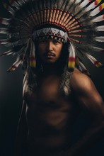 Moody Native American Indian Portrait