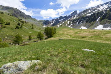Wall Mural - vallon de tortisse