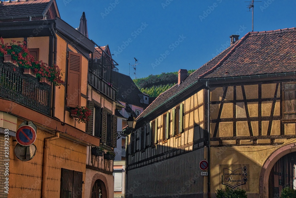 miasteczko alzackie Ribeauville z widokiem na winnice - obrazy, fototapety, plakaty 