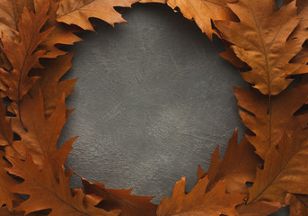 Wall Mural - Frame of brown oak leaves on grey background