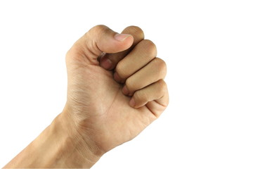 Left Human Fist Hand