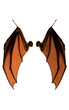3d Illustration Devil Wings, Demon Wing Plumage Isolated on White Background with Clipping Path.