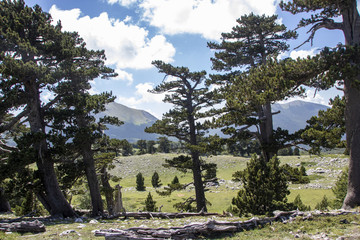 Sticker - Garden of gods