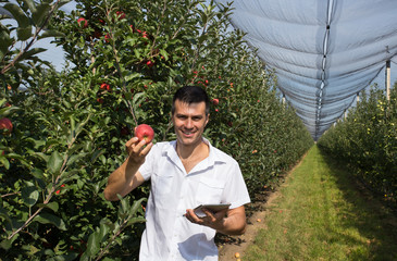 Farmer with apple and tablet in orchard