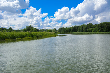 Wall Mural - A beautiful image of landscape from the center of the river, surrounded by trees and reeds on the shore and distant horizon against the blue sky in clouds. Reflection, water, tourist destination