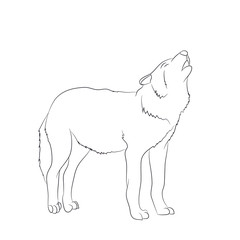 Wall Mural - wolf howls, image lines, vector