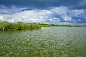 Wall Mural - A beautiful image of landscape from the center of the river, surrounded by trees and reeds on the shore and distant horizon against the blue sky in clouds. Reflection, water, tourist destination