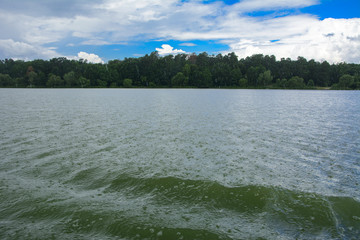 Wall Mural - A beautiful image of landscape from the center of the river, surrounded by trees and reeds on the shore and distant horizon against the blue sky in clouds. Reflection, water, tourist destination