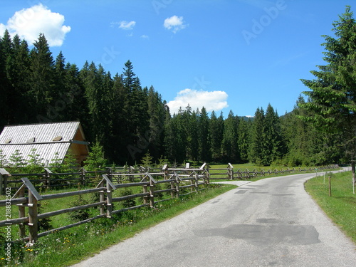 Obrazy Dolina Chochołowska  tatry-dolina-chocholowska-czesc-asfaltowa