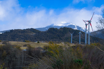 Molinos de Coyhaique