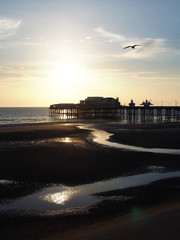 Wall Mural - blackpool north pier a sunset with bright evening sunlight reflected in the water and a seagull flying in blue sky