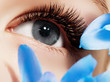 Close up of blue woman eye with beautiful brown with shades smokey eyes makeup. Modern fashion make up. Nude makeup. Clean skin, Long lashes