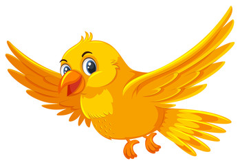 Poster - A cute yellow bird on white background