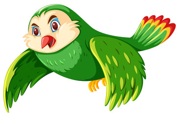 Wall Mural - a green owl on white background