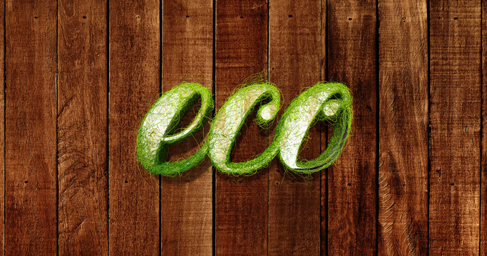 Eco. The word 