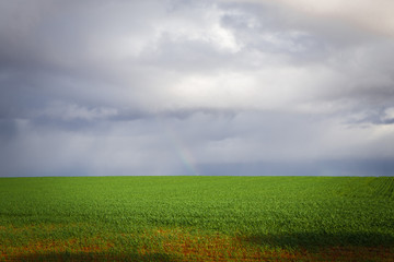 Australian countryside landscape sunny green fields farm land with clouds