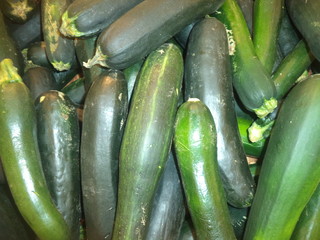 Wall Mural - a new crop of courgettes zucchini