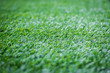 Green grass artificial turf pattern