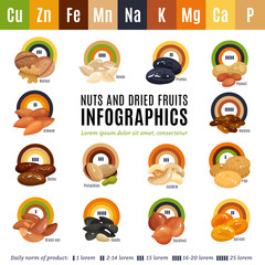 Wall Mural - Nuts Flat Infographics