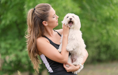 Wall Mural - Bichon bolognese dog with beautiful in the park