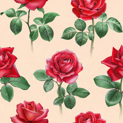 Wall Mural - Watercolor illustration of roses. Seamless pattern