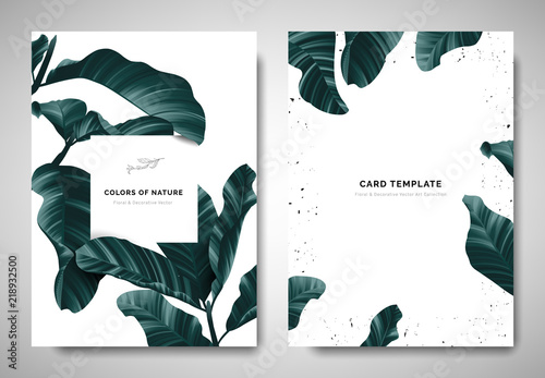 Greenery greeting/invitation card template design, dark green leaves with whi...