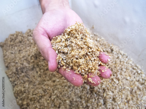 Fotografía Spent Grain in hand : Homebrewing