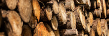 Pine Tree Forestry Exploitation. Stumps And Logs. Overexploitation Leads To Deforestation Endangering Environment And Sustainability. Timber Logging Industry Banner.