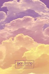 Wall Mural - vertical vector background with realistic violet-orange sky and clouds. the image can be used to des