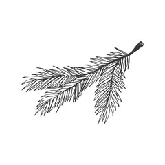 christmas tree branch vector illustration isolated on white background. hand drawn christmas symbol.