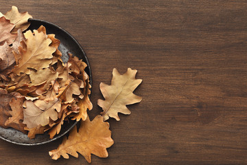 Poster - Fall oak leaves background closeup