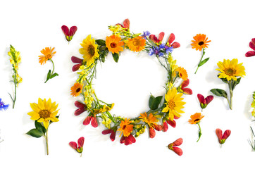 Wreath of summer wildflowers sunflowers, flowers calendula, linaria, blue cornflowers, red samaras maple ash on white background with space for text. Top view, flat lay