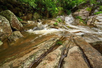 Wall Mural - day time on waterfalls with green tree and water flow