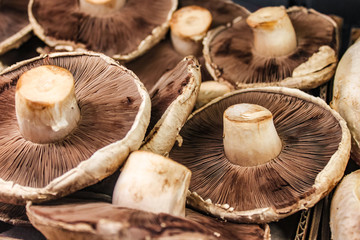 Close-up of baby portabella mushrooms displaysed with stems up - selective focus