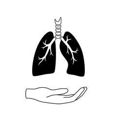 Wall Mural - Vector isolated illustration of lung