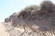 sand dune fence