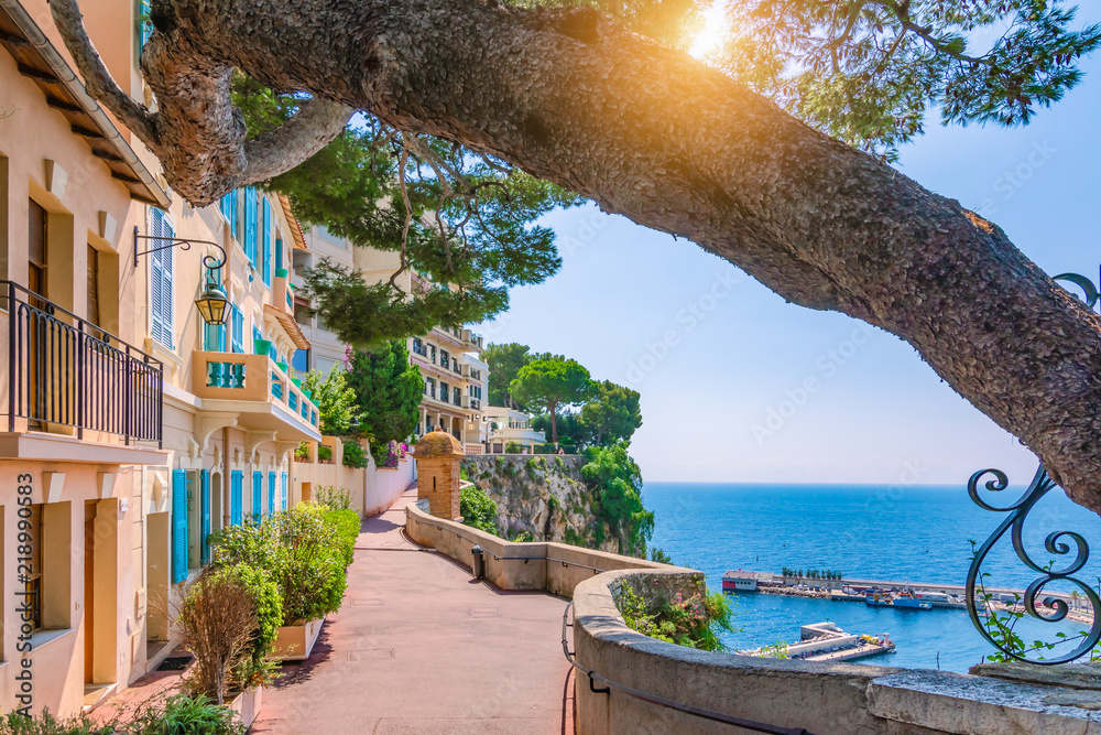 Monaco village in Monaco, Monte Carlo, France. Walking street with beautiful buildings along the coast. - obrazy, fototapety, plakaty 