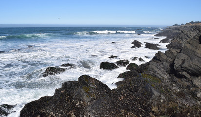 Waves crashing in high surf on the N. California coast