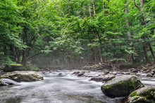 Great Smoky Mountains National Park-peaceful Stream On A Foggy Morning