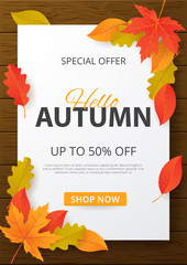 Wall Mural - autumn sale background with leaves. can be used for shopping sale, promo poster, banner, flyer, invi
