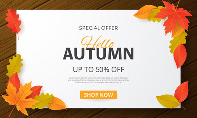 Wall Mural - autumn sale background with leaves. can be used for shopping sale, promo poster, banner, flyer, invi