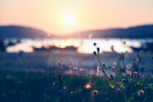 Beautiful Sunset Over The Beach With Grass. Beautiful Natural Landscape In The Summer Time. Abstract Nature Background. Color Filter And Soft Focus 