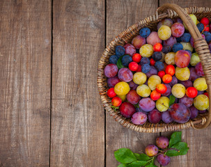 Sticker - variety of plums on wooden surface