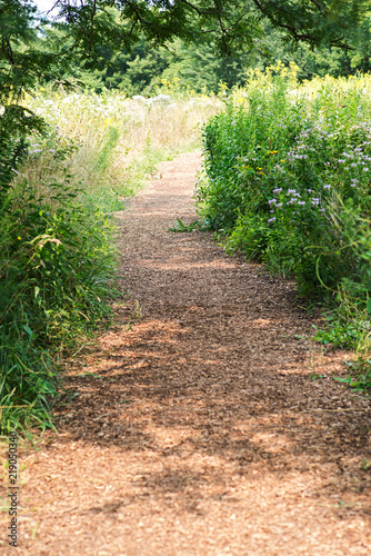 Fotografia, Obraz Wood chip trail in the National Wildlife sanctuary park.
