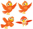 Set of cute orange birds